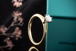 Tiffany & Co Solitär Ring Setting mit Diamant 0,29 Ct in Gelbgold Platin