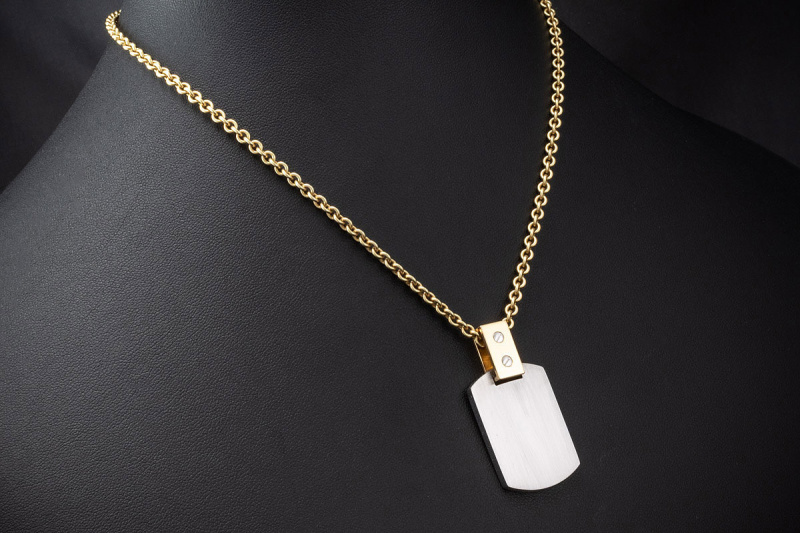 Cartier Santos Anhänger Dog-Tag aus Edelstahl und 750er Gelbgold Rarität 