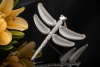 Brosche Anhänger Libelle Bergkristall Flügeln und Brillanten in Weißgold 