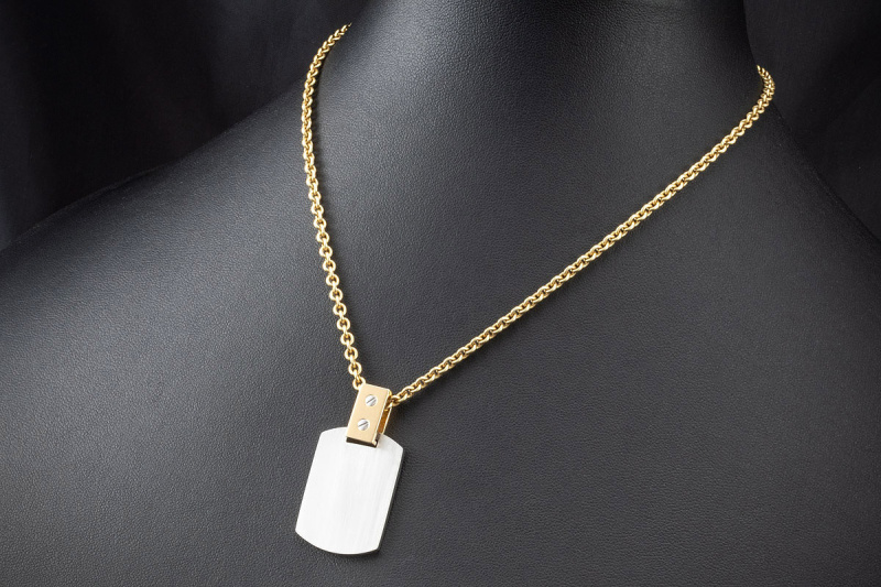 Cartier Santos Anhänger Dog-Tag aus Edelstahl und 750er Gelbgold Rarität 