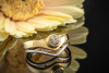 Solitär Ring Designer Schmuckstück mit Diamant Cognac VVSI in 750er Gold Bicolor 