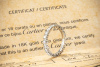 Cartier Memoire Ring Destinée Trauring mit 22 Diamanten in 950er Platin 