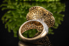 Ring Motiv Blume 3,20 Carat Brillanten und 1 Saphir in Weißgold Gelbgold 