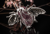 Brosche Nadel Große Fliege mit Pink Rubin und Diamanten in Weißgold 750 