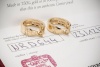 Cartier Love Ohrringe Creolen Ohrstecker mit Clip in 750er Gold Full Set 