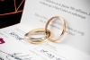 Trinity de Cartier Ring Klassisches Modell in Gold 750 Gr. 69 Full Set 