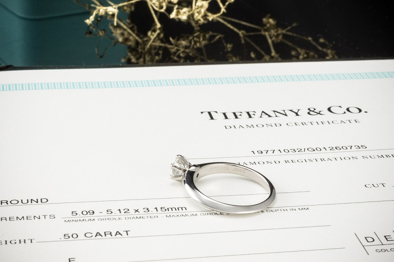 Tiffany & Co Solitär Ring Setting mit Diamant 0,50 Ct in Platin Full Set 